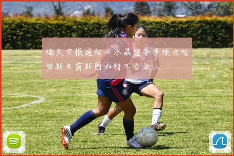 瑞天空报道纽卡水晶宫争夺埃尔哈努斯冬窗斯图加特不会放人