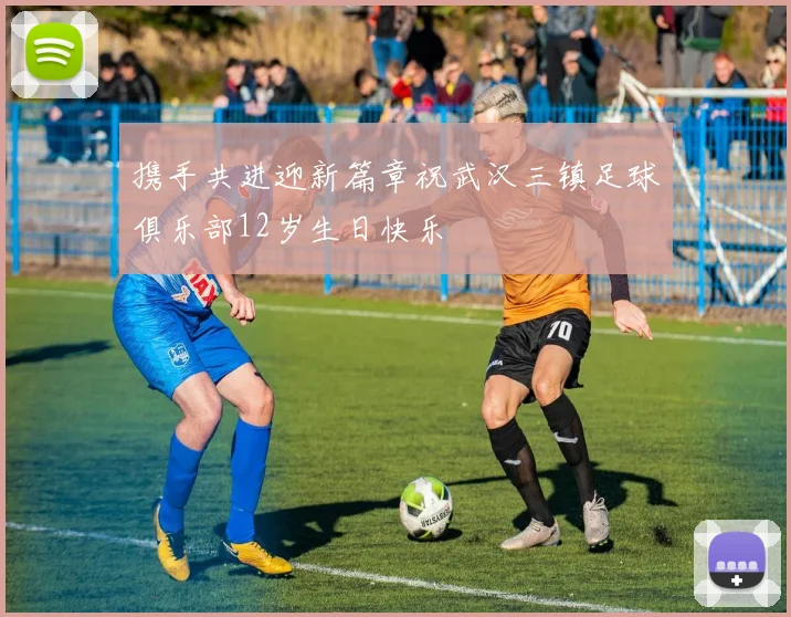 携手共进迎新篇章祝武汉三镇足球俱乐部12岁生日快乐