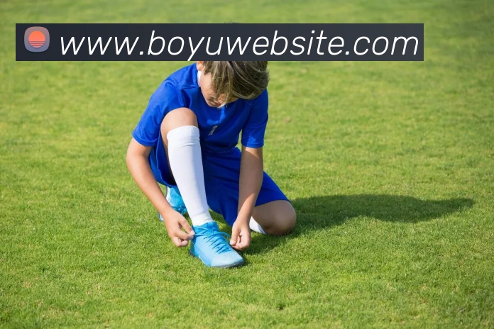 博鱼体育平台生态图