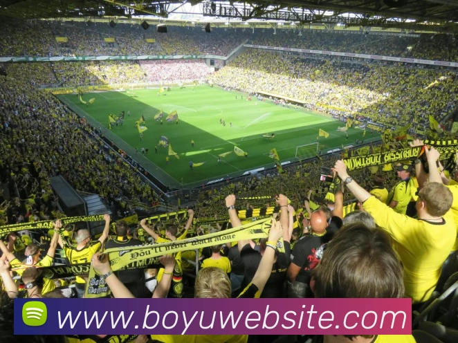 博鱼体育APP 封面图