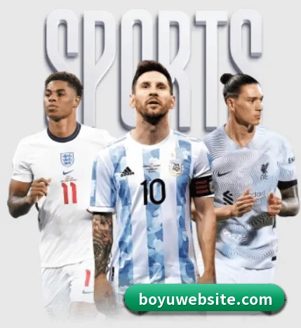 五个功能入口,赛程查询路径更短 - 多运动项目内容板块(BOYUSPORTS)